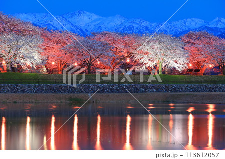 【富山県】あさひ舟川べりの満開の夜桜と北アルプスのシンメトリー 【富山県】あさひ舟川べりの満開の夜桜と北アルプスのシンメトリー 113612057