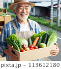 新鮮な野菜の入った箱を持つ農家の男性 113612180