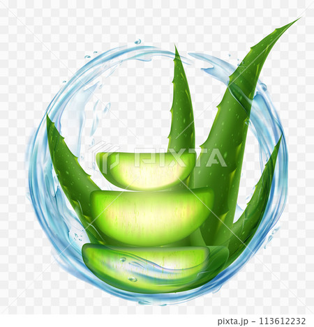 Aloe Vera plant with splashes of juice Aloe Vera plant with splashes of juice 113612232