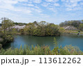 春　ため池(香川県高松市) 113612262