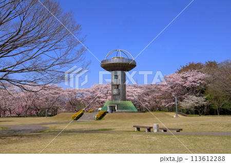 ロマンチック茨城(十王ダムの高台に高さ20メートルのUFOタワー、春は見事な桜に囲まれる。)日立市 ロマンチック茨城(十王ダムの高台に高さ20メートルのUFOタワー、春は見事な桜に囲まれる。)日立市 113612288