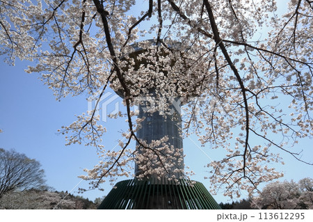 ロマンチック茨城（UFO展望台を飲み込むように輝く桜がおおいかぶさる。）日立市、十王パノラマ公園 113612295