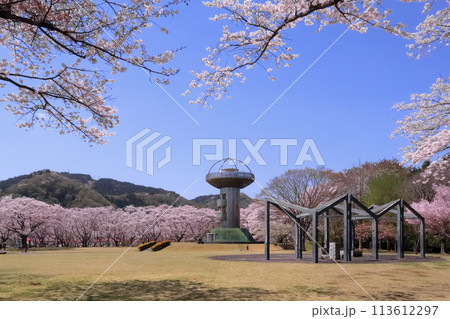 ロマンチック茨城(「春は桜の園」季節を問わず自然の豊かさを見せてくれる。十王パノラマ公園。)日立市 ロマンチック茨城(「春は桜の園」季節を問わず自然の豊かさを見せてくれる。十王パノラマ公園。)日立市 113612297