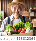 宅配野菜ボックスを持つ農家の男性 113612364