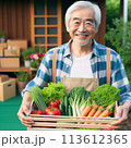 フレッシュ野菜ボックスを持つ農家のおじさん 113612365