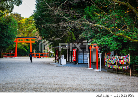 秋の京都 下鴨神社 南口鳥居 秋の京都 下鴨神社 南口鳥居 113612959