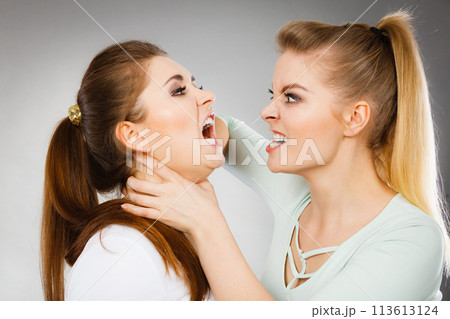 Two agressive women having argue fight Two agressive women having argue fight 113613124