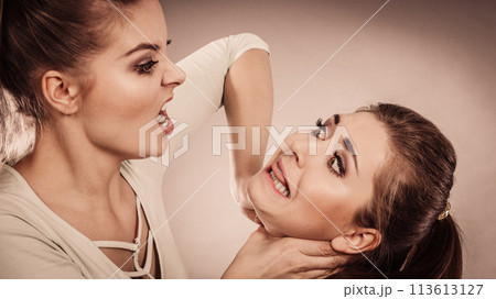Two agressive women having argue fight 113613127