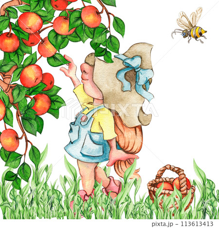 Composition of watercolor hand drawn cute Nordic Scandinavian gnomes and flowers and leaves watercolor illustration. Design for baby shower party, birthday, cake, holiday celebration, greetings cards. Composition of watercolor hand drawn cute Nordic Scandinavian gnomes and flowers and leaves watercolor illustration. Design for baby shower party, birthday, cake, holiday celebration, greetings cards. 113613413