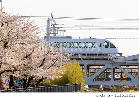 桜とスペーシアX 113613815