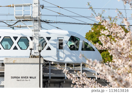 桜スペーシアX 113613816