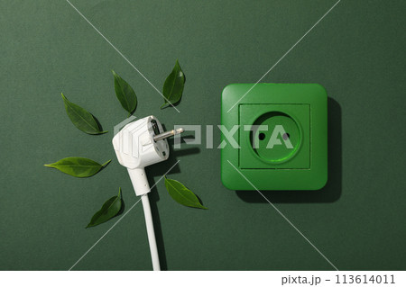 Eco house concept, green rosette with leaves 113614011