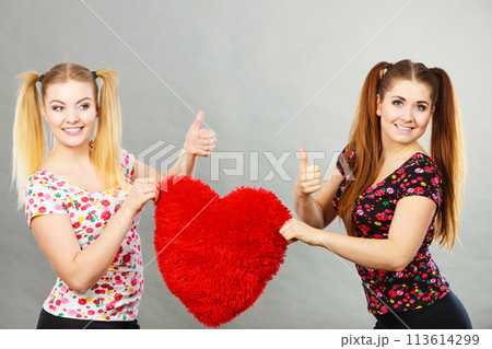 Happy two women holding heart shaped pillow 113614299