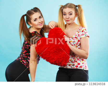 Happy two women holding heart shaped pillow 113614316