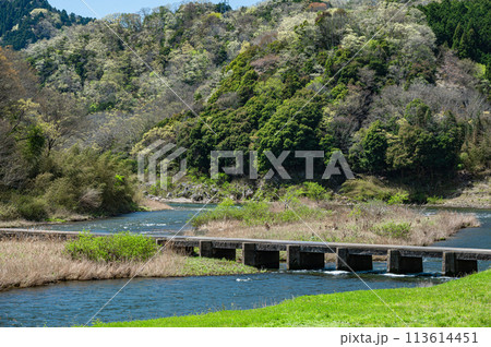 京都の清流木津川 南大河原の沈下橋 恋路橋 京都府南山城村 京都の清流木津川 南大河原の沈下橋 恋路橋 京都府南山城村 113614451
