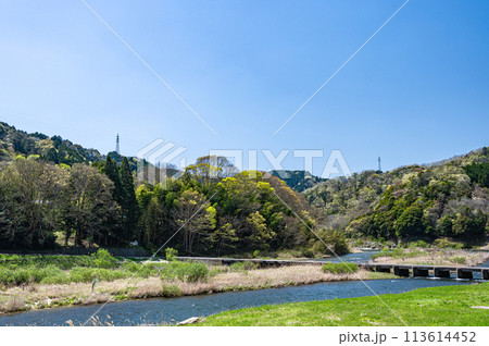 京都の清流木津川　南大河原の沈下橋　恋路橋　京都府南山城村 113614452