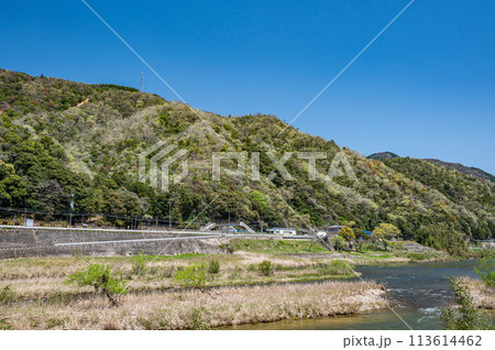 京都の清流木津川と新緑の山　京都府南山城村 113614462