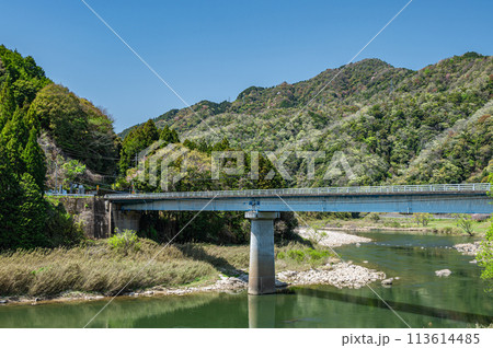 京都の清流木津川 大河原大橋 京都府南山城村 京都の清流木津川 大河原大橋 京都府南山城村 113614485