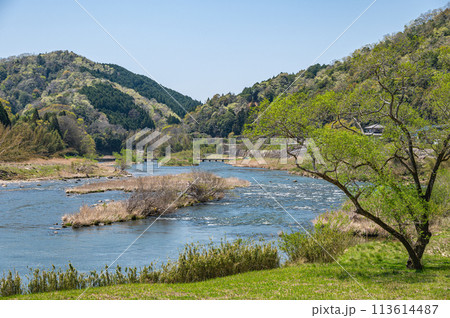 京都の清流木津川　京都府南山城村 113614487