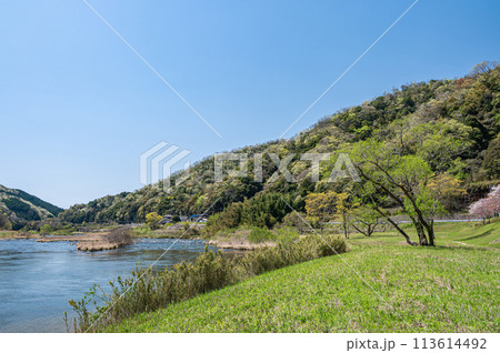 京都の清流木津川 京都府南山城村 京都の清流木津川 京都府南山城村 113614492