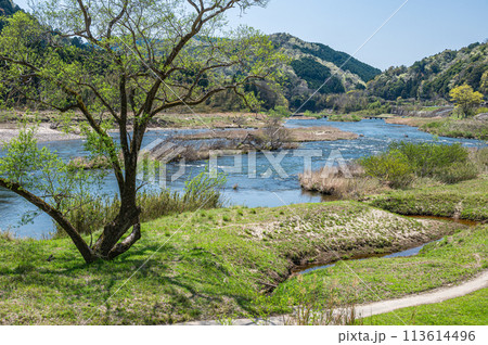 京都の清流木津川 京都府南山城村 京都の清流木津川 京都府南山城村 113614496