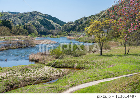 京都の清流木津川 京都府南山城村 京都の清流木津川 京都府南山城村 113614497