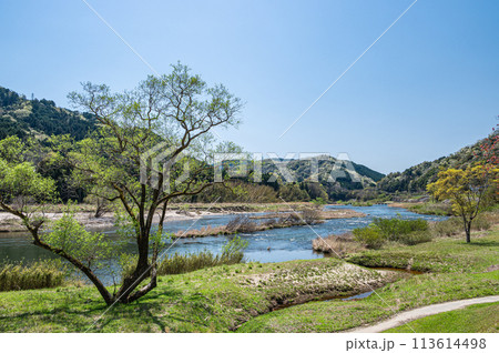 京都の清流木津川　南大河原の恋路橋　京都府南山城村 113614498