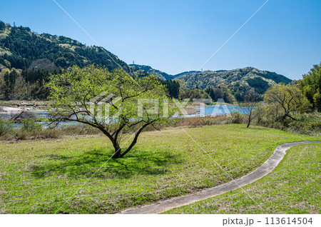京都の清流木津川 京都府南山城村 京都の清流木津川 京都府南山城村 113614504