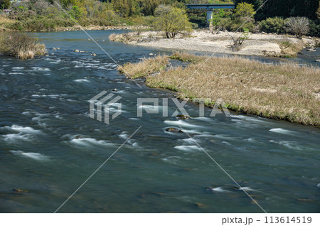 京都の清流木津川　京都府南山城村 113614519
