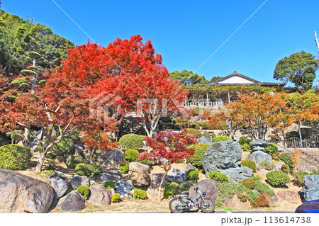 北九州市八幡西区にある藤の名所吉祥寺の紅葉 北九州市八幡西区にある藤の名所吉祥寺の紅葉 113614738