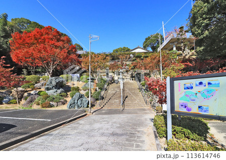 北九州市八幡西区にある藤の名所吉祥寺の秋 北九州市八幡西区にある藤の名所吉祥寺の秋 113614746