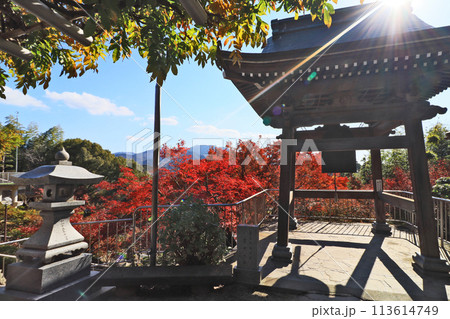 北九州市八幡西区にある藤の名所吉祥寺の鐘楼と紅葉 北九州市八幡西区にある藤の名所吉祥寺の鐘楼と紅葉 113614749