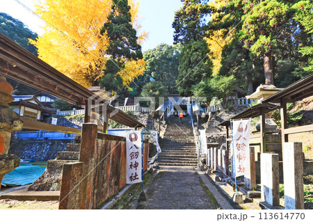 福岡県鞍手町の剣岳中腹にある八剱神社参道 113614770