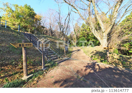 福岡県鞍手町の剣岳自然公園遊歩道 113614777