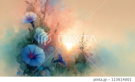 夏の幻想的なアサガオ 夏の幻想的なアサガオ 113614801