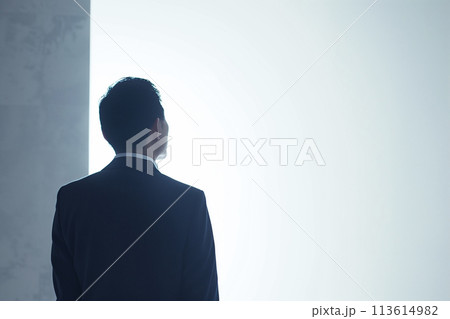 シニア男性の後ろ姿 113614982