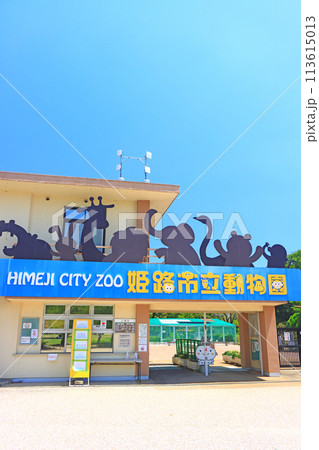 兵庫県姫路市、姫路市立動物園の風景 兵庫県姫路市、姫路市立動物園の風景 113615013