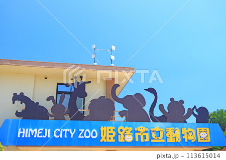 兵庫県姫路市、姫路市立動物園の風景 兵庫県姫路市、姫路市立動物園の風景 113615014