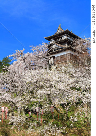 【福井県】晴天の丸岡城と満開の桜（現存12天守） 113615044