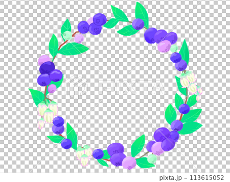 Blueberry Wreath 113615052
