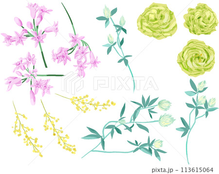 シックな花手書き水彩 113615064