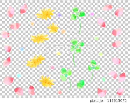 水彩の花 113615072