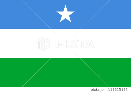 Flag of Puntland State (Federal Republic of Somalia) Puntland State of Somalia, horizontal tricolor of blue, white and green with a white star at the top 113615135