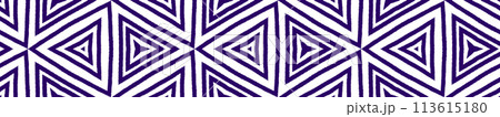 Geometric seamless pattern. Purple symmetrical kaleidoscope background. Hand drawn geometric seamless design. immaculate decorative design element for background. 113615180