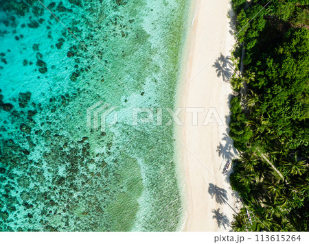 Ocean waves on sandy beach in Cobrador Island. Turquoise sea water in Romblon. Philippines. 113615264