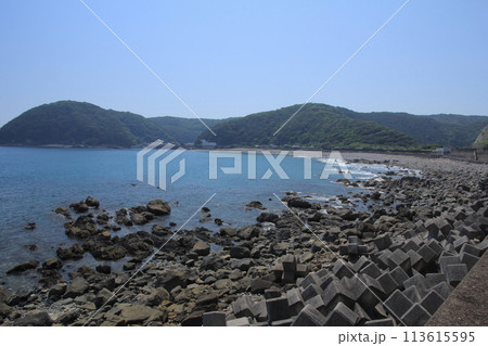 高知県国道321号線　足摺サニーロードの風景 113615595