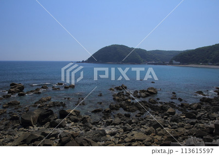 高知県国道321号線　足摺サニーロードの風景 113615597