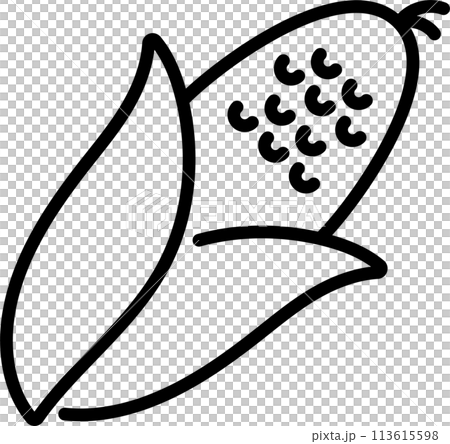 トウモロコシのアイコン トウモロコシのアイコン 113615598