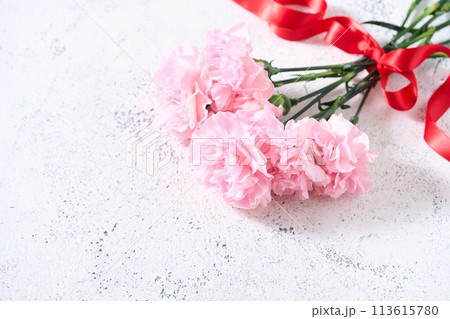 カーネーションの花束 カーネーションの花束 113615780