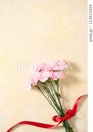 カーネーションの花束 113615859